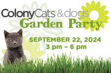 Colony Cats Garden Party Logo - September 22, 2024 from 3pm to 6pm 