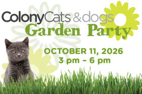 Colony Cats Garden Party Logo - October 11, 2026 from 3pm to 6pm