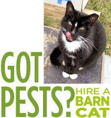 picture of a black and white cat caption says Got Pests? Hire a Barn Cat