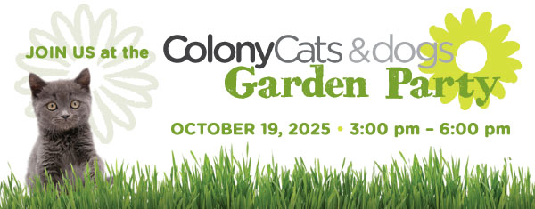 Join Us! Colony Cats and Dogs Garden Party October 19, 2025 • 3 pm – 6 pm