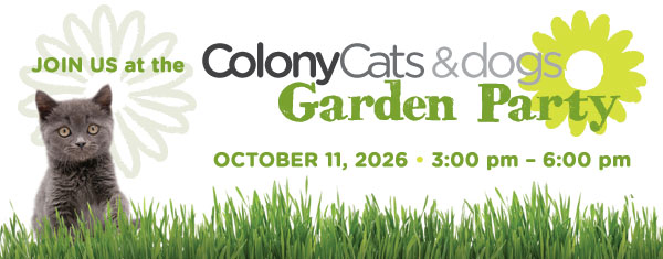 Join Us! Colony Cats and Dogs Garden Party October 11, 2026 • 3 pm – 6 pm