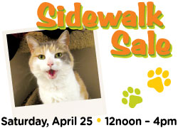 Image has photo of a cat and says Sidewalk Sale Saturday, April 25 • 12noon - 4pm
