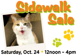 Image has photo of a cat and says Sidewalk Sale Saturday, October 24 • 12noon - 4pm