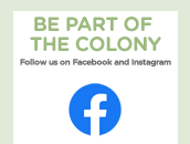Colony Cats Facebook link