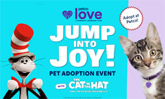 Adoption event image